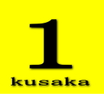 国内A級